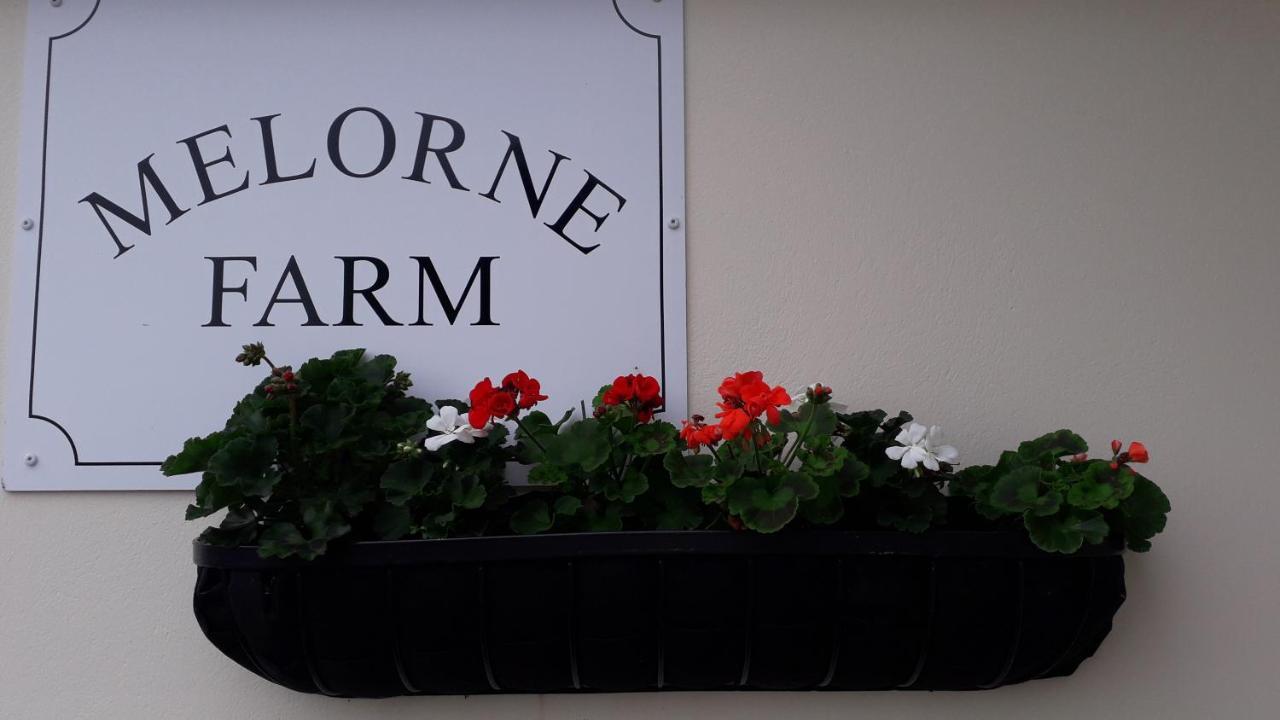 Melorne Farm Panzió Camelford Kültér fotó