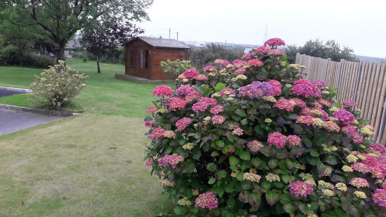 Melorne Farm Panzió Camelford Kültér fotó